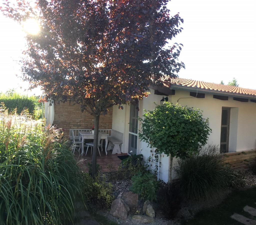 Penzion Primase Dolni Vestonice Εξωτερικό φωτογραφία
