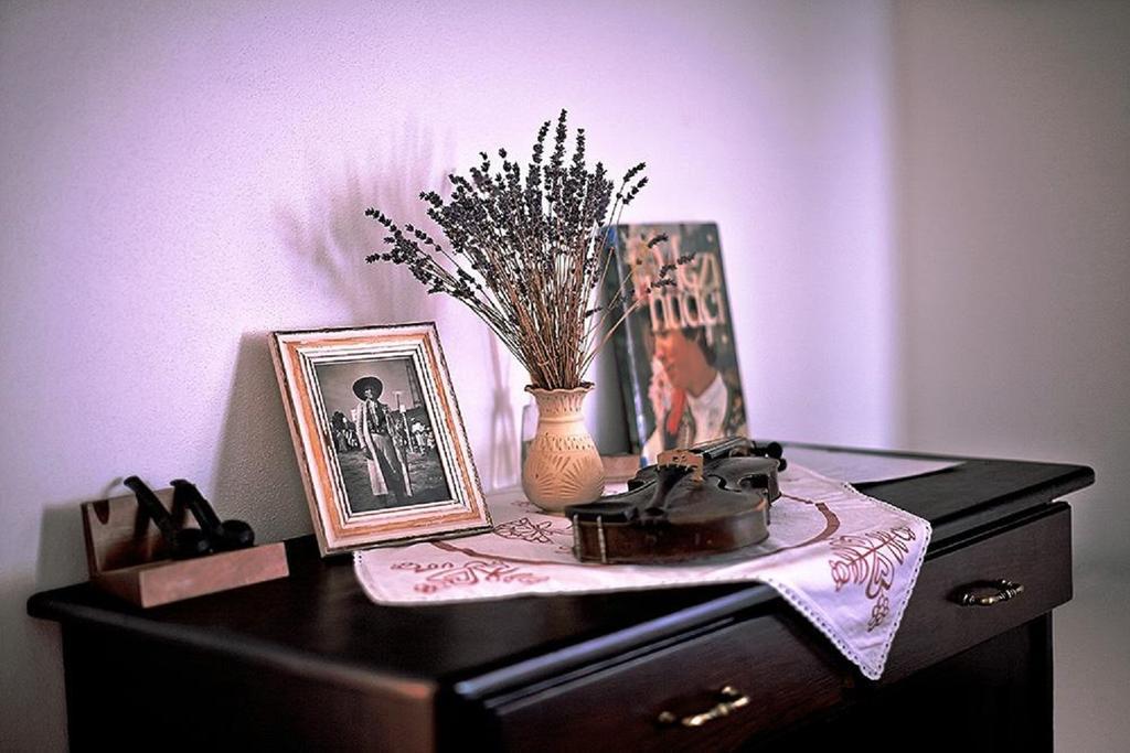 Penzion Primase Dolni Vestonice Δωμάτιο φωτογραφία